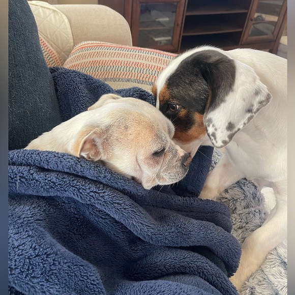 Meet your Posher, Lisa - Picture 5 of 8